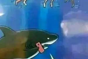 Je suis arrivé au marché. Y’a porc, y’a mouton et pattes de poulet. Je prends quoi ?