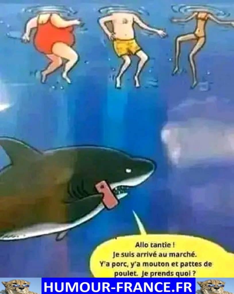 Je suis arrivé au marché. Y’a porc, y’a mouton et pattes de poulet. Je prends quoi ?