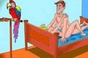 Je t’aime Georges ! Fais-moi mal Michel ! Plus fort Bernard ! Tu m’excites Gérard ! …