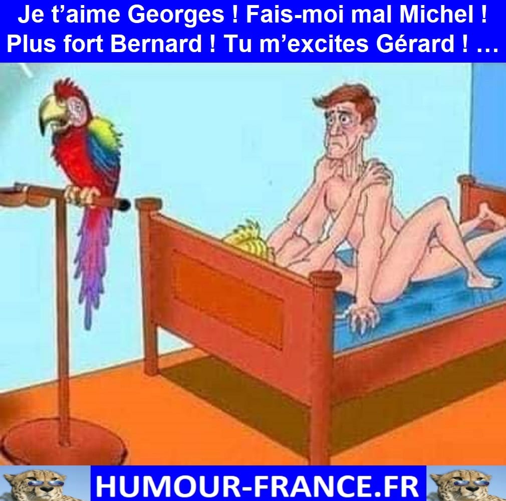 Je t’aime Georges ! Fais-moi mal Michel ! Plus fort Bernard ! Tu m’excites Gérard ! …