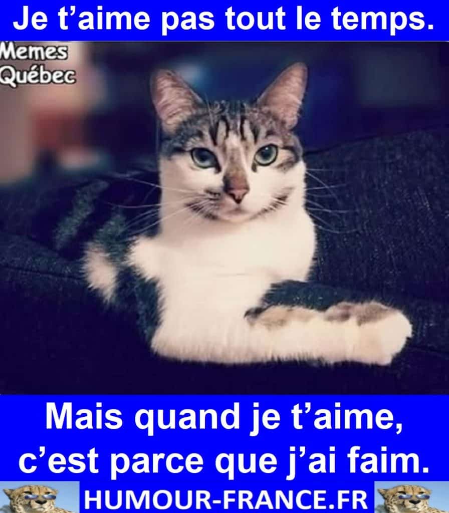 Je t’aime pas tout le temps. Mais quand je t’aime, c’est parce que j’ai faim.