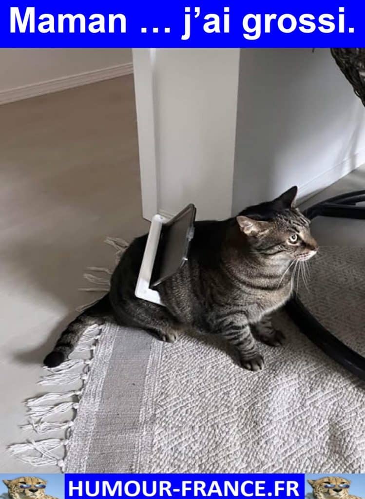 Maman … j’ai grossi.