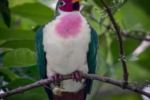 Putain de vin rouge. Un chemisier tout neuf !