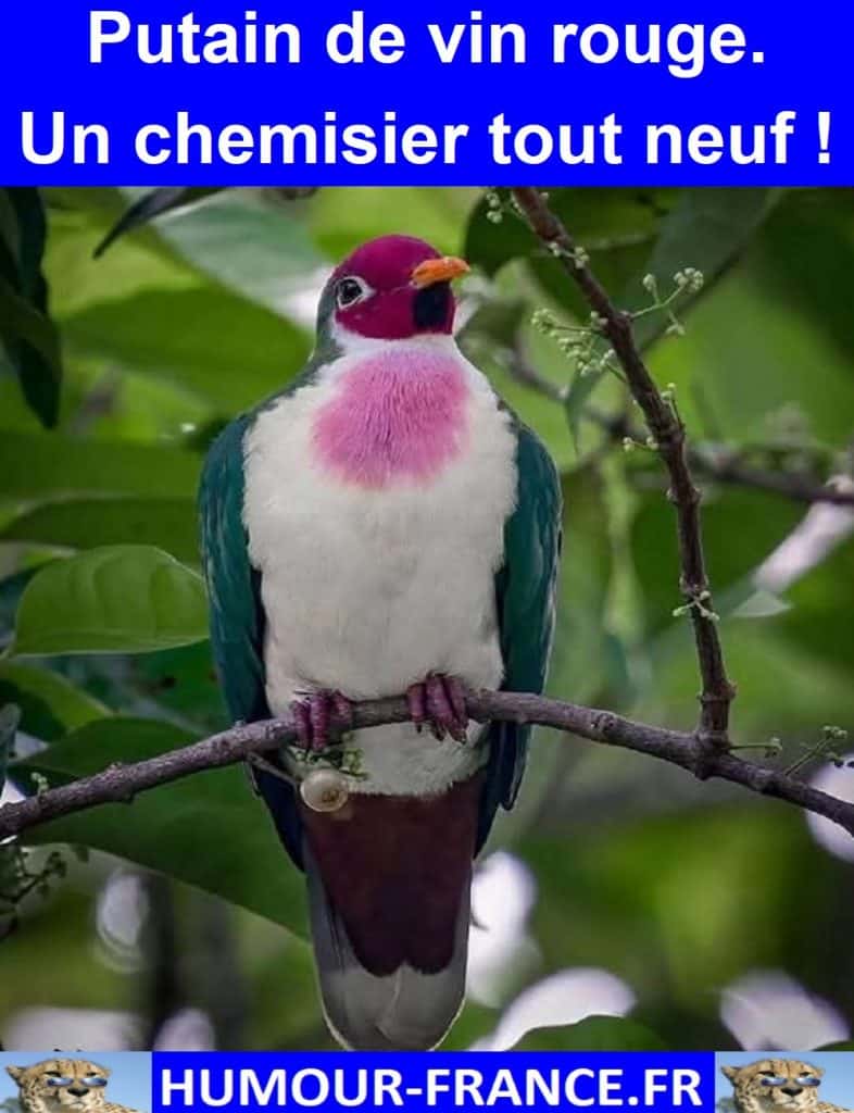 Putain de vin rouge. Un chemisier tout neuf !