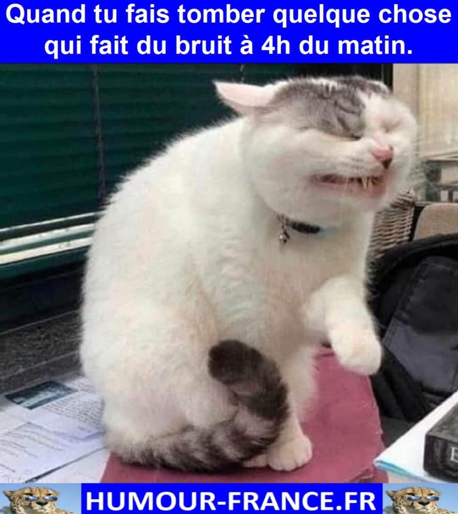Quand tu fais tomber quelque chose qui fait du bruit à 4h du matin.