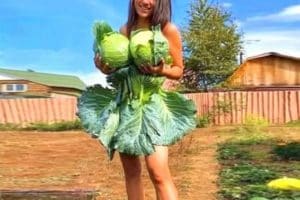 Quand tu veux que ton mec végan vienne enfin labourer ton jardin.