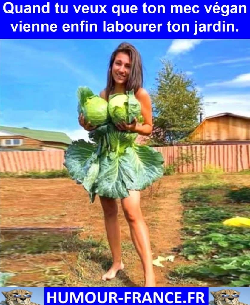 Quand tu veux que ton mec végan vienne enfin labourer ton jardin.