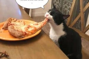 Rigoles pas ! j’ai un morfeau de pizza foincé entre les fents.