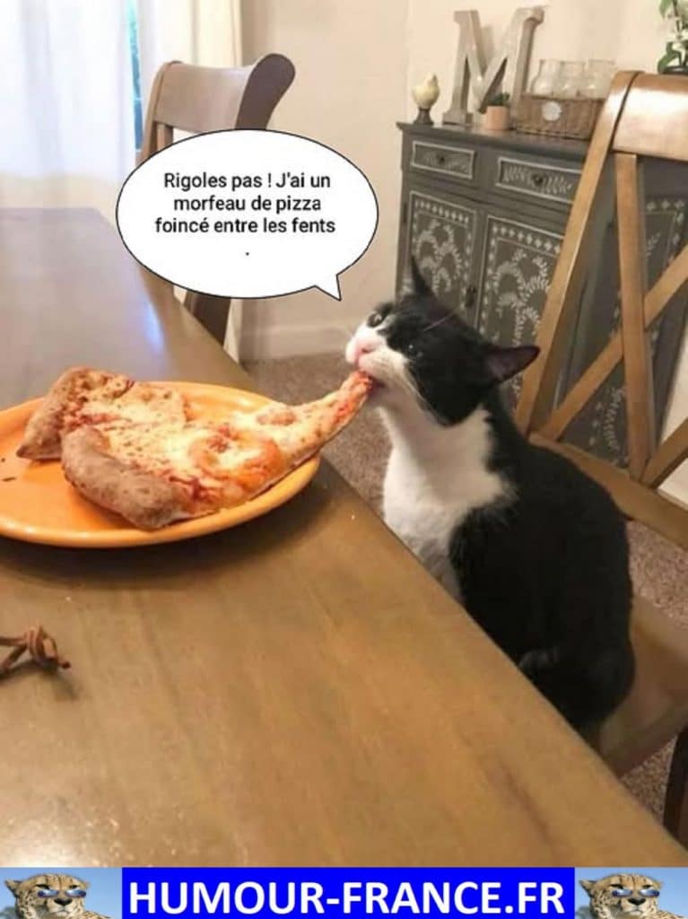 Rigoles pas ! j’ai un morfeau de pizza foincé entre les fents.