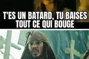 Tu es un batard, tu baises tout ce qui bouge.
