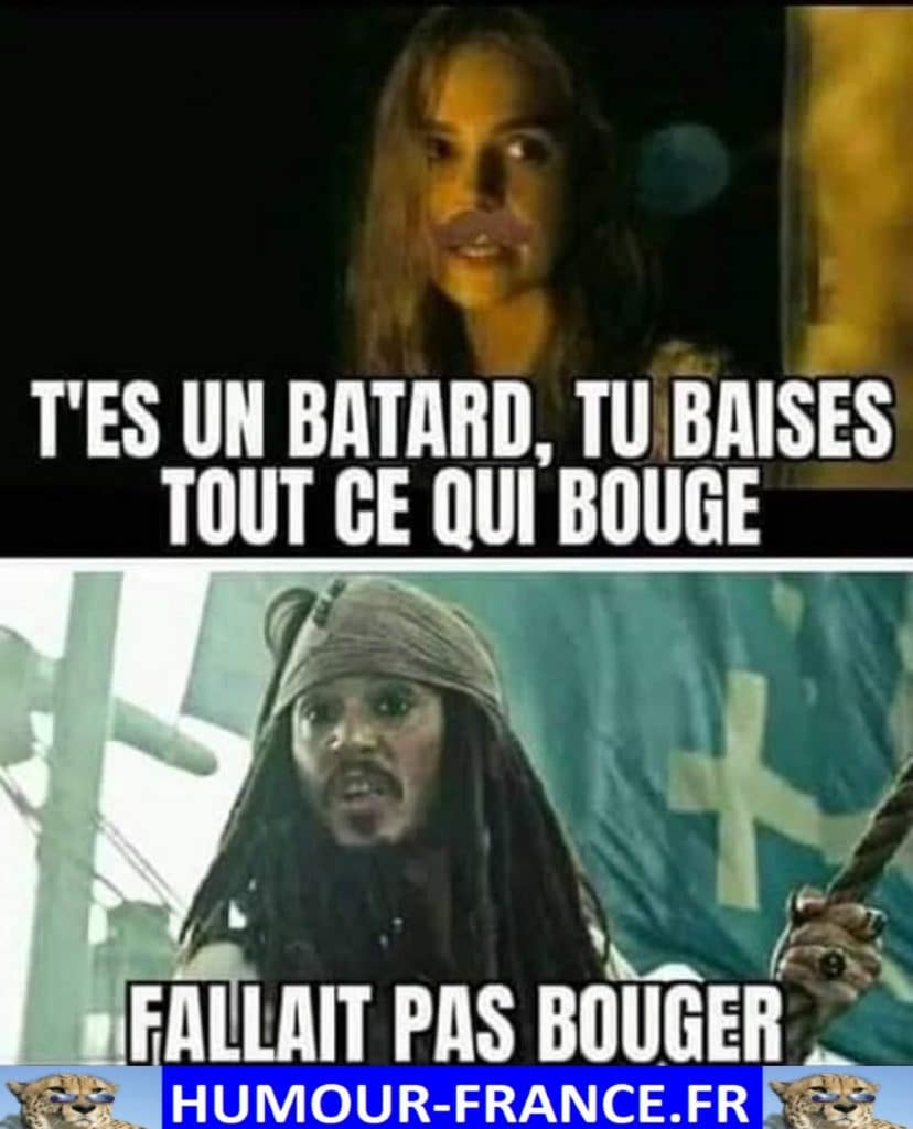 Tu es un batard, tu baises tout ce qui bouge.