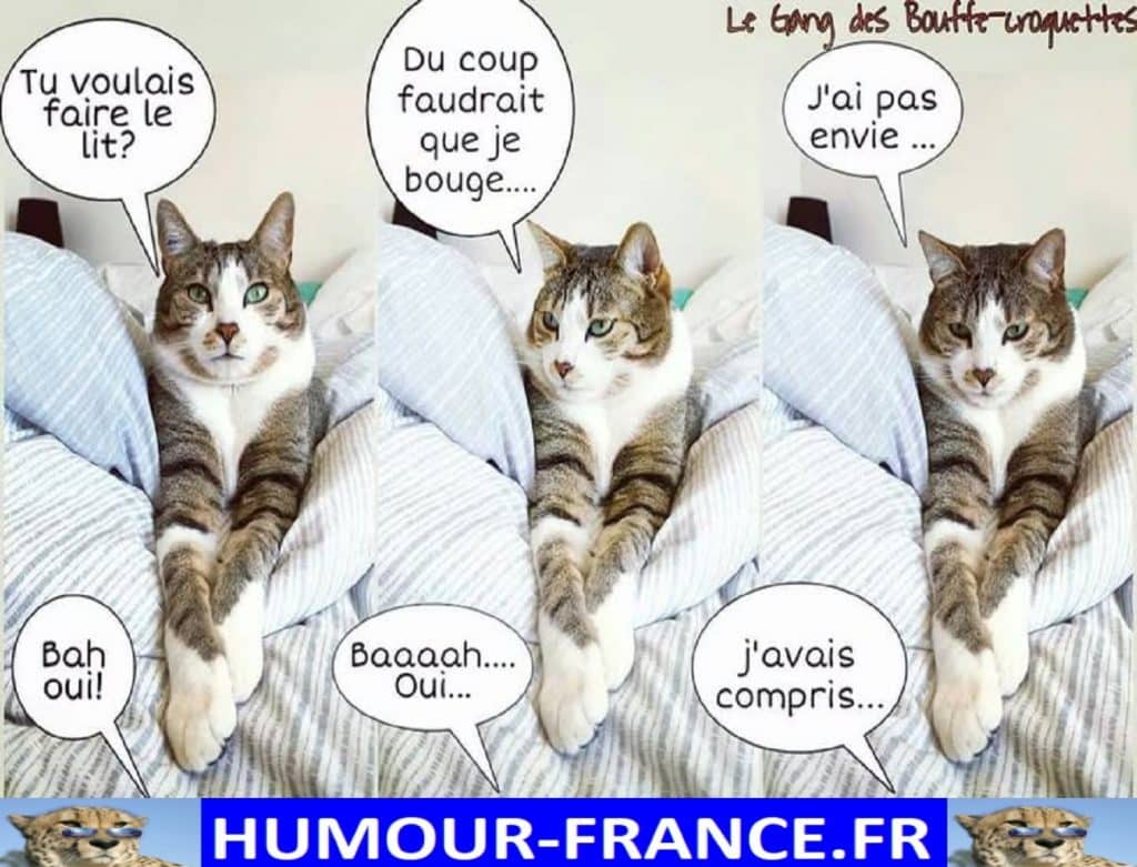 Tu voulais faire le lit ?