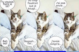 Tu voulais faire le lit ?