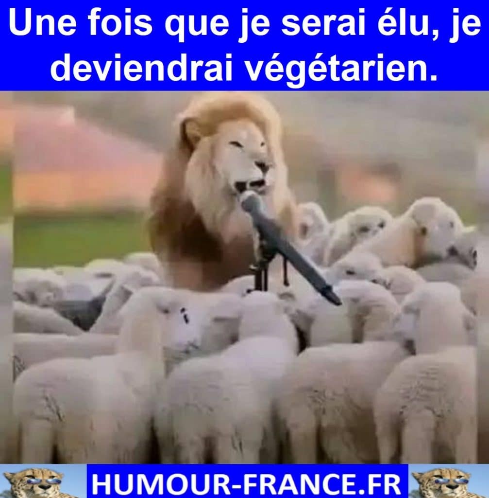 Une fois que je serai élu, je deviendrai végétarien.