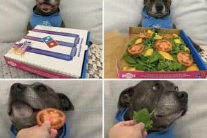 Une trahison qui restera dans l’histoire.