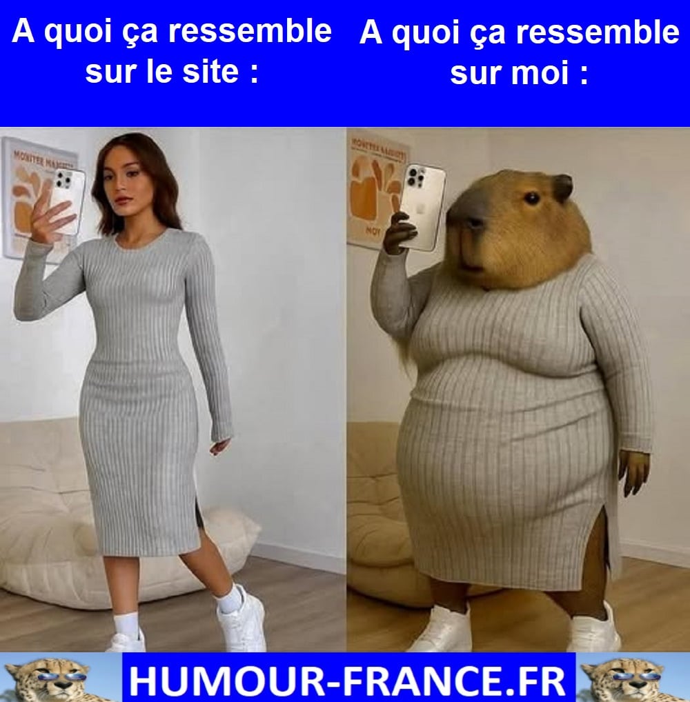 A quoi ça ressemble sur le site :