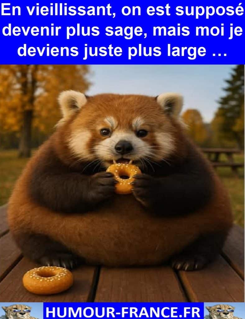 En vieillissant, on est supposé devenir plus sage, mais moi je deviens juste plus large …