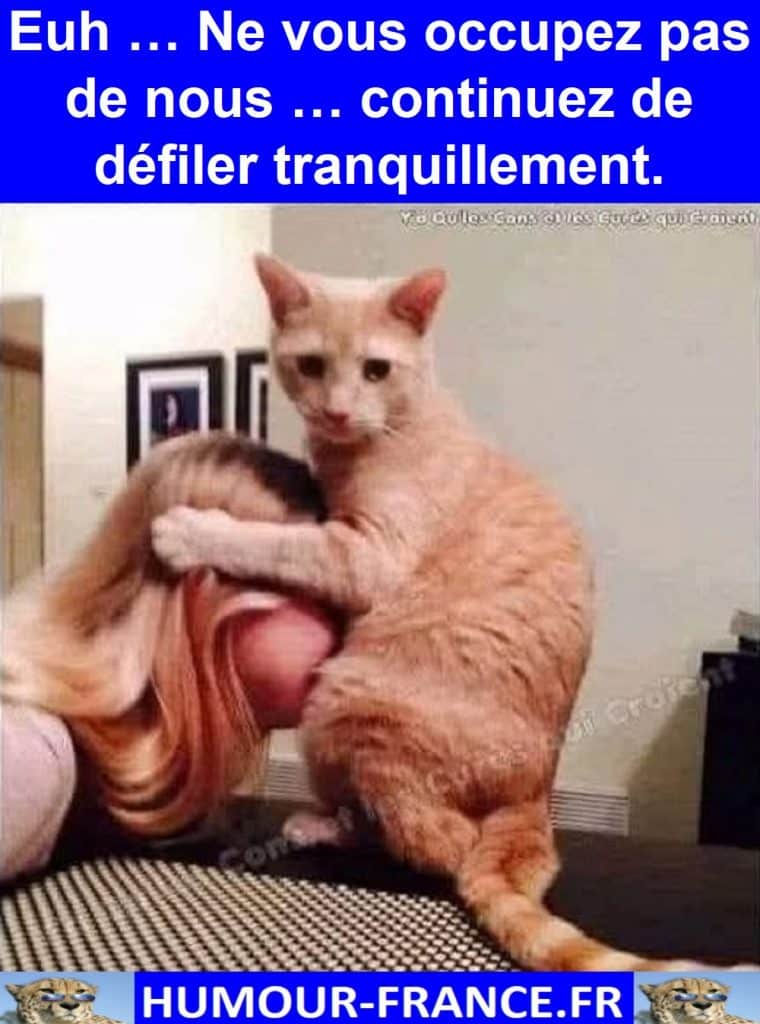 Euh … Ne vous occupez pas de nous … continuez de défiler tranquillement.