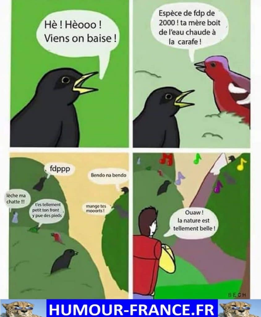 Hè ! Hèooo ! Viens on baise !