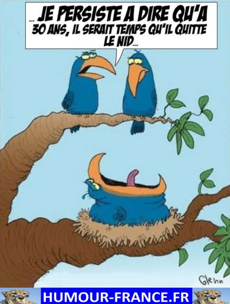 Je persiste à dire qu’a 30 ans, il serait temps qu’il quitte le nid …