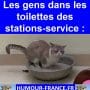 Les gens dans les toilettes des stations-service :