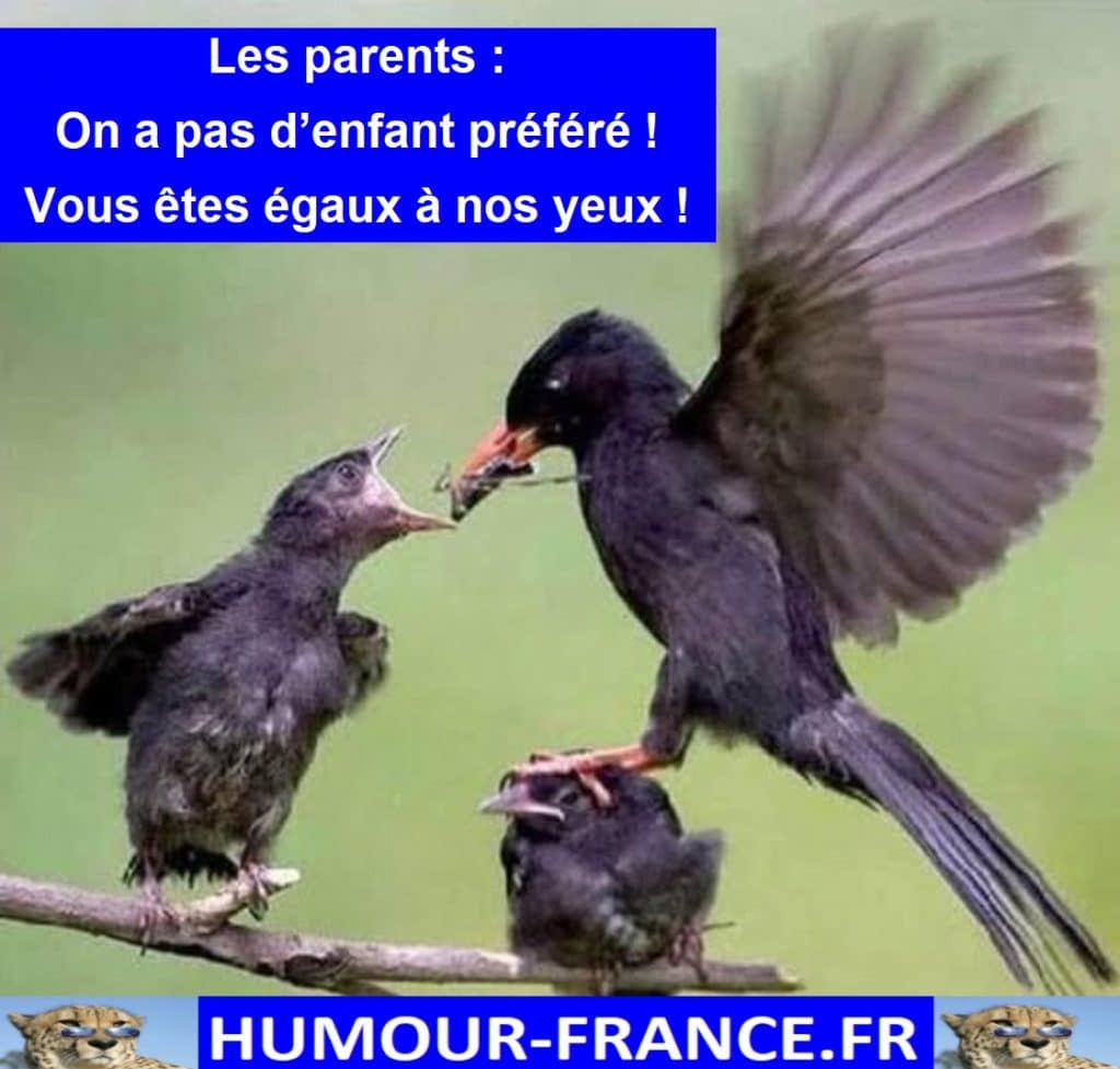 Les parents : On a pas d’enfant préféré ! Vous êtes égaux à nos yeux !