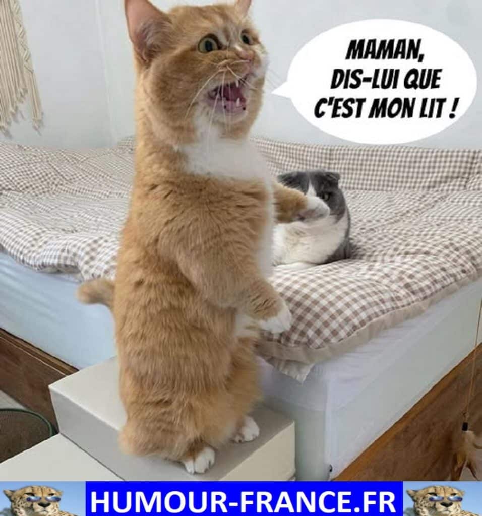 Maman dis-lui que c’est mon lit !