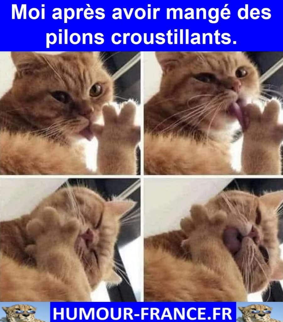 Moi après avoir mangé des pilons croustillants.
