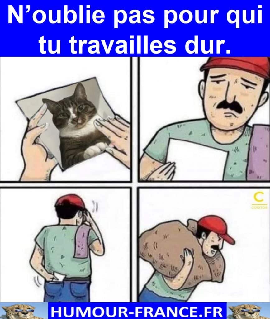 N’oublie pas pour qui tu travailles dur.