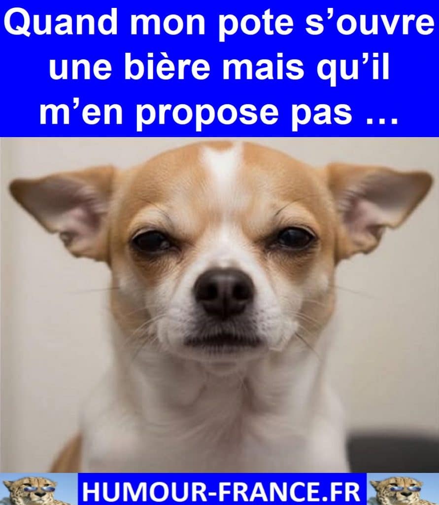 Quand mon pote s’ouvre une bière mais qu’il m’en propose pas …