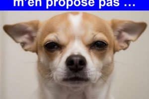 Quand mon pote s’ouvre une bière mais qu’il m’en propose pas …