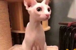 Quand t’enlève ton soutif après une longue journée.