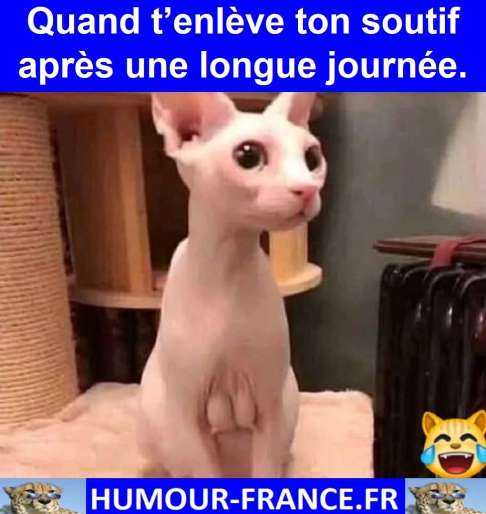 Quand t’enlève ton soutif après une longue journée.