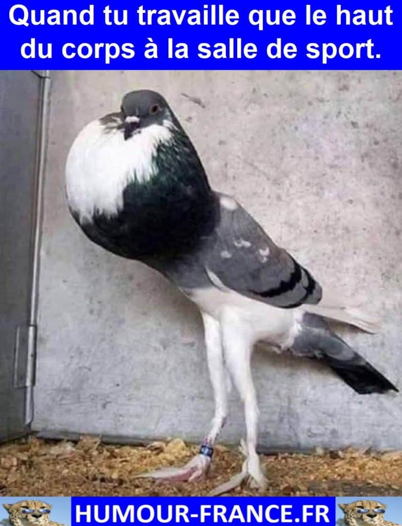 Quand tu travaille que le haut du corps à la salle de sport.