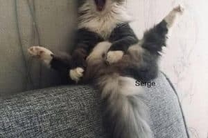 Que les journées soient dures … vivement ce soir que je puisse roupiller.