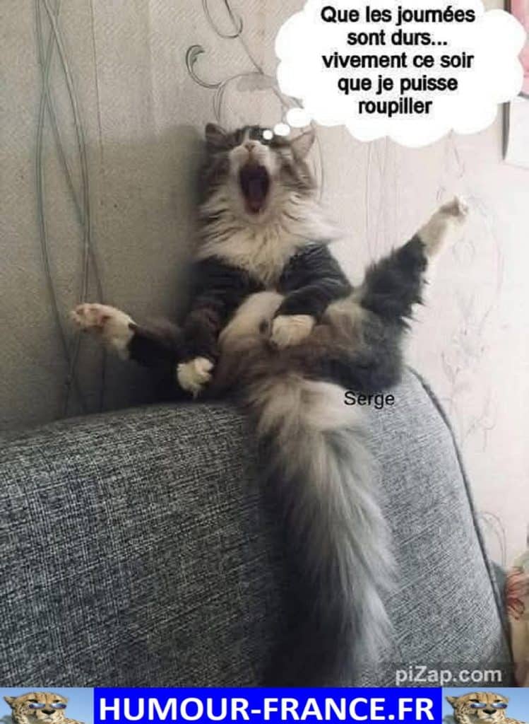 Que les journées soient dures … vivement ce soir que je puisse roupiller.