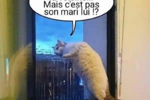 Tiens ?! C’est la voisine … Mais c’est pas son mari lui !?