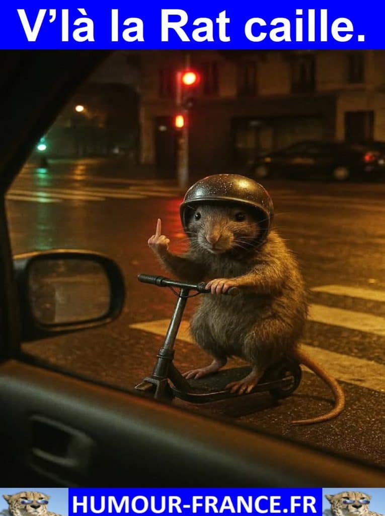 V’là la Rat caille.