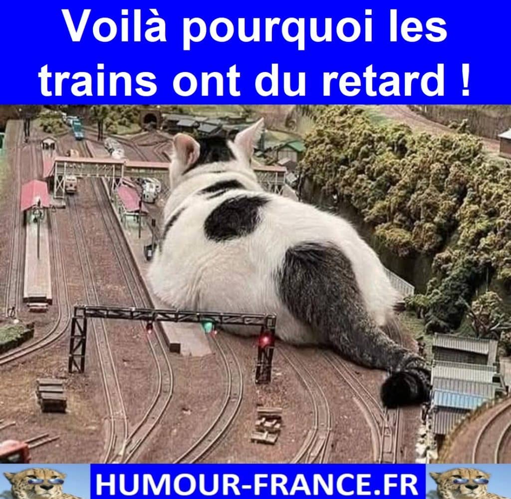 Voilà pourquoi les trains ont du retard !
