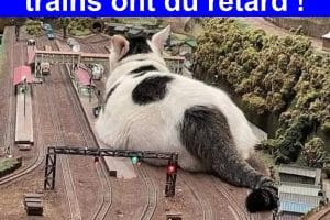 Voilà pourquoi les trains ont du retard !