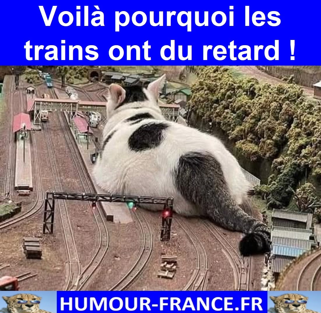 Voilà pourquoi les trains ont du retard ! - Humour-France.fr