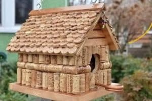 En buvant 120 bouteilles de vin, vous pouvez sauver un oiseau …