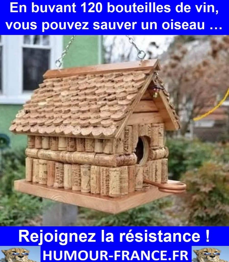 En buvant 120 bouteilles de vin, vous pouvez sauver un oiseau …