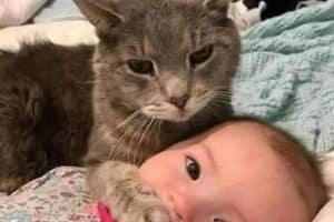 Ne dis pas à maman que j’ai bu ton lait.
