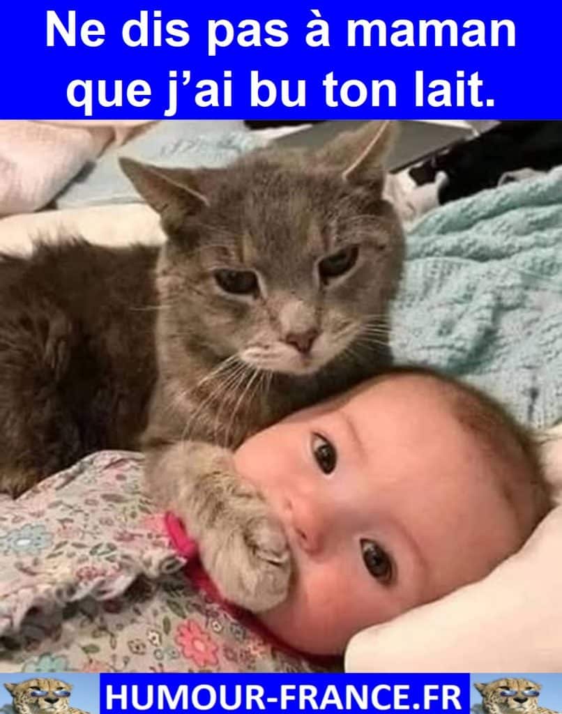 Ne dis pas à maman que j’ai bu ton lait.