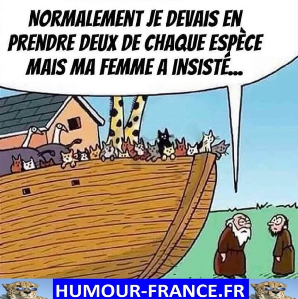 Normalement je devais en prendre deux de chaque espèce mais ma femme a insisté …