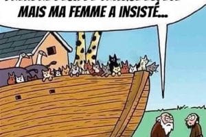 Normalement je devais en prendre deux de chaque espèce mais ma femme a insisté …