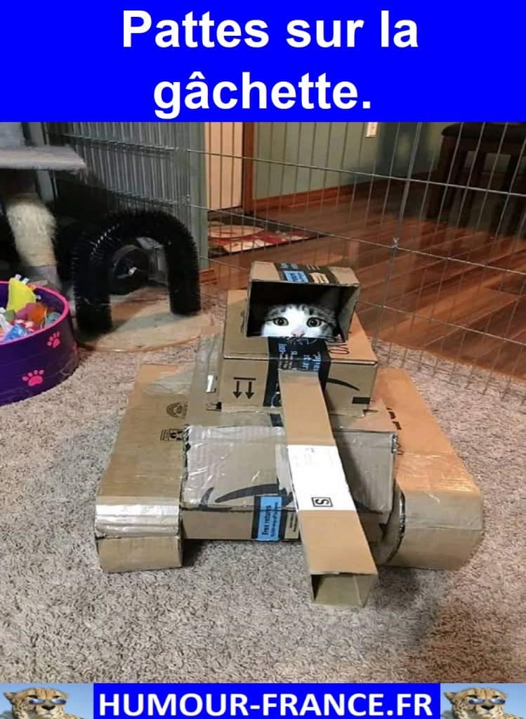 Pattes sur la gâchette.