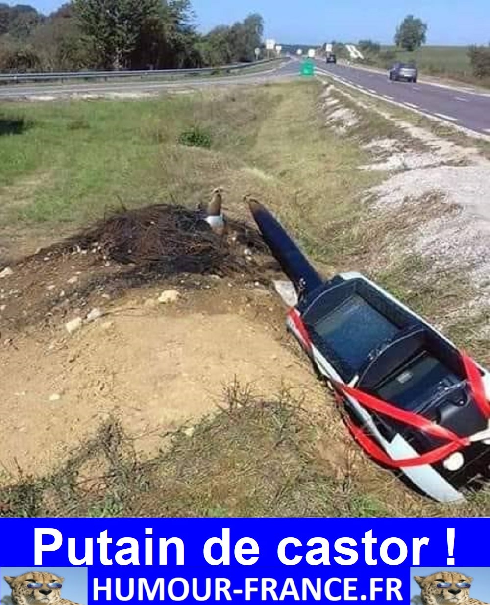 Putain de castor ! - Humour-France.fr
