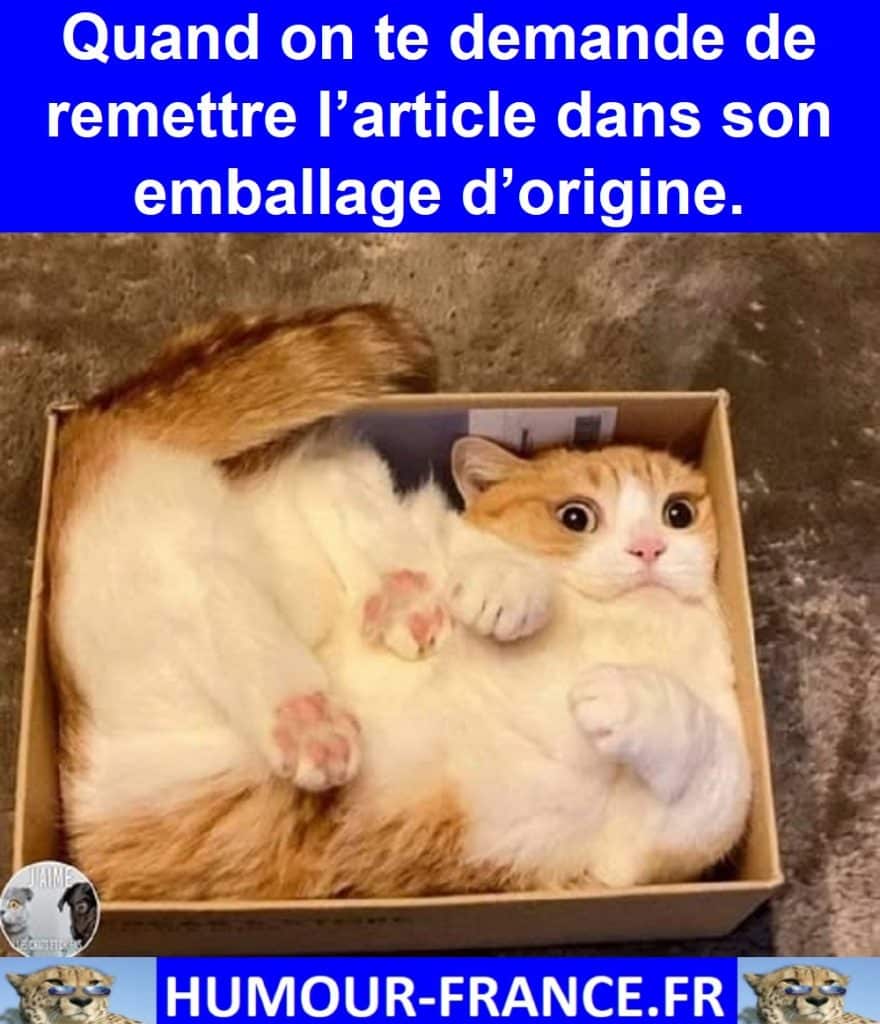 Quand on te demande de remettre l’article dans son emballage d’origine.